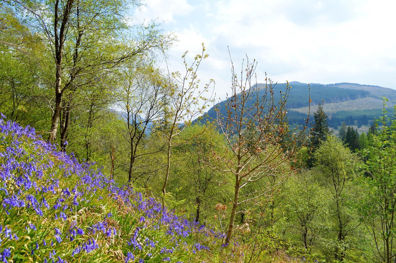 Glenbranter Cottage Strachur Екстериор снимка